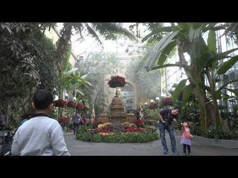 Video: Vườn bách thảo New York: Hướng dẫn đầy đủ