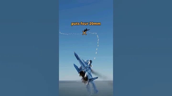 Risk vs Reward F-15 Eagle vs SU-27 Flanker #dcs #simulation