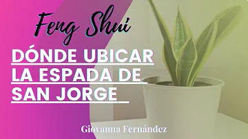 ¿Dónde debo colocar una planta serpiente en mi casa?