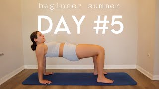 Day #5 Beginner Summer 30 Day Workout Challenge - Arms/Abs 18 Mins At Home No Equipment