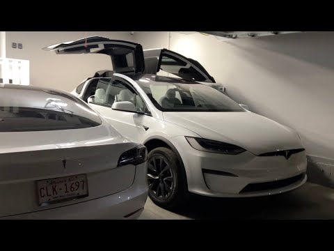 2022 Tesla Model