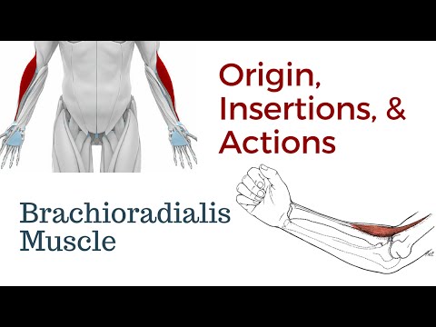 Video: Brachioradialis Smerter: Symptomer, årsager Og Behandling