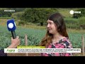 Agro Record News - 13/06/2026
