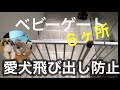 【VlogU^ェ^U】犬のためのベビーゲート6個購入 他