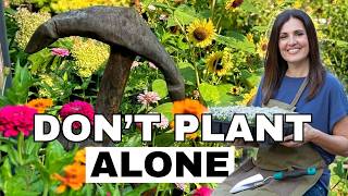 Don’t Plant Zinnias Alone: How to Create a Fuller Garden That Blooms Longer
