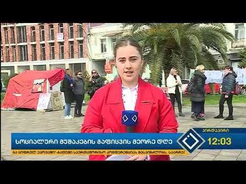 სოცმუშაკებმა ვარდების სკვერში კარავი გაშალეს