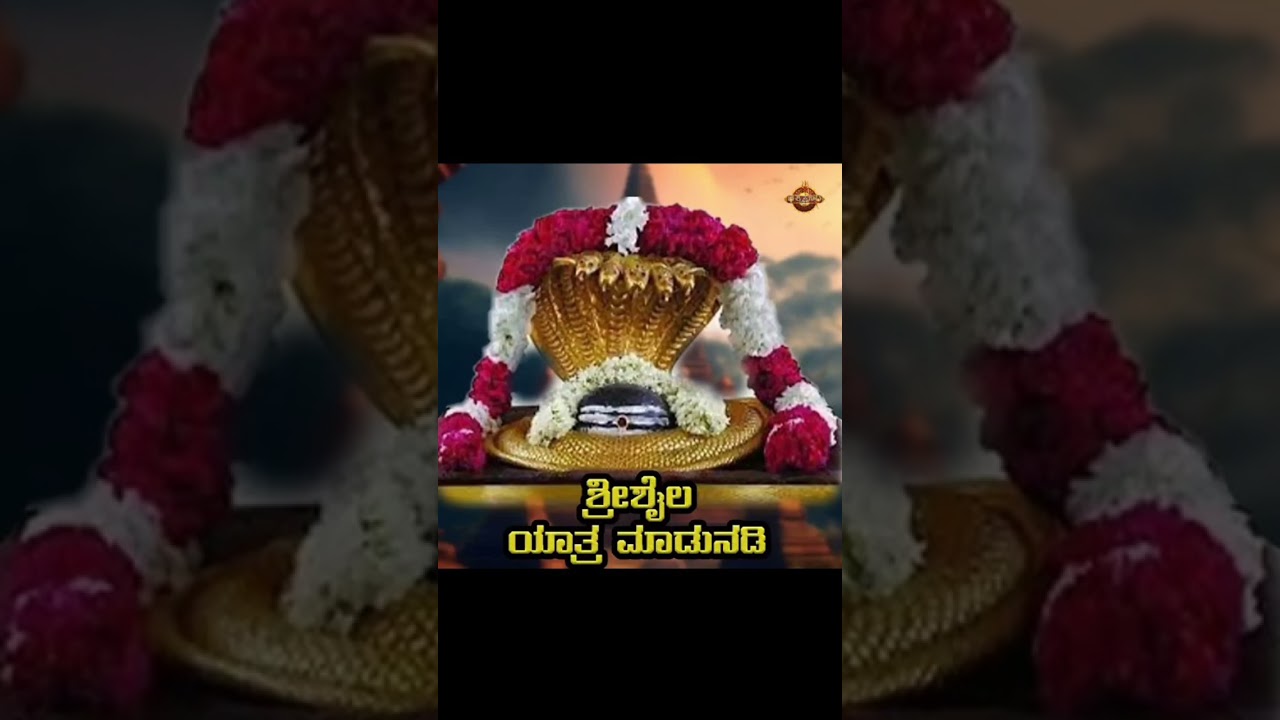 ಮಾರ್ಚ್ 8, 2026