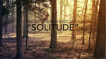 "Solitude" ~ Deep Liquid Drum & Bass Mix