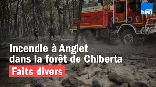 Incendie à Anglet dans la forêt de Chiberta