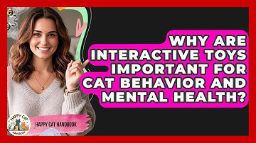 Why Are Interactive Toys Important for Cat Behavior and Mental Health? | Happy Cat Handbook