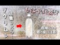 メダカのハリコ（稚魚）に最適な活餌「ゾウリムシ」培養の際に絶対に注意すべきたった1つの事！【ビオトープ/究極の落とし穴】