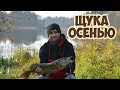 Щука на воблеры осенью. Рыбалка на кружки