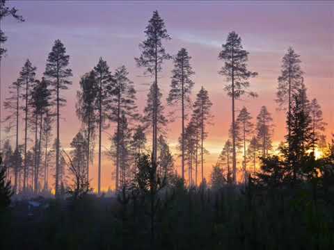 Alexander Rybak - Fairytale(instrumental)