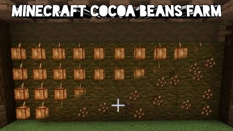 Make a Cocoa beans farm easily in Minecraft