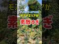 ディズニーワールドにあるモアナエリアの紹介だよ#ディズニー #海外ディズニー