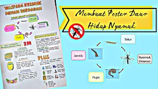 Membuat Poster Daur Hidup Nyamuk Sederhana Tugas Kelas 3 SD Tema 1 || Gambar Daur Hidup Nyamuk