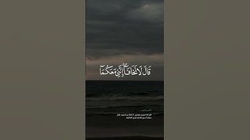 تلاوة هادئة من سورة طه #اكسبلور #quran #تلاوات_هادئة