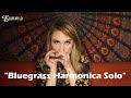 Bluegrass Harmonica Solo