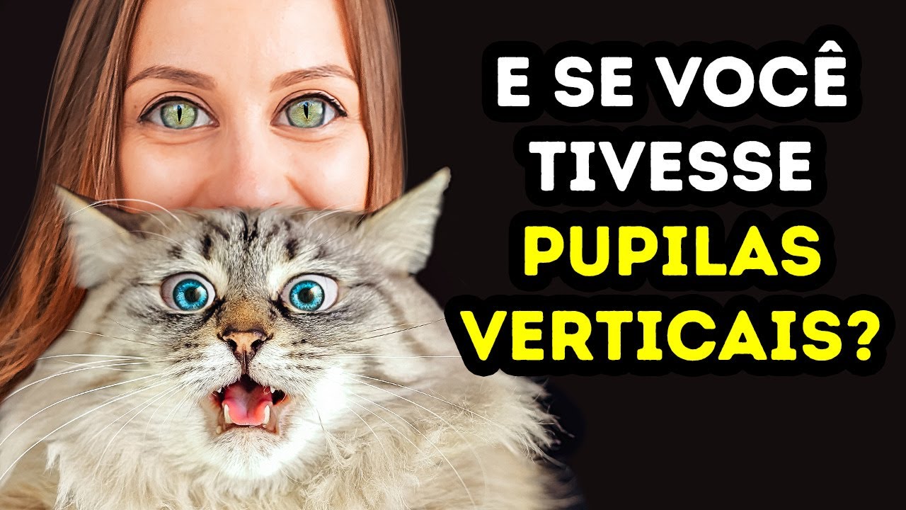 E Se Você Tivesse Pupilas Estreitas Como as de Um Gato?