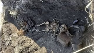 ДВА ШЛЕМА НЕ ЗАЩИТИЛИ СОЛДАТА ВОВ / TWO HELMETS DID NOT PROTECT THE WWII SOLDIER