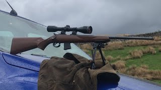 Rifle Shooting with .17HMR