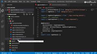 Angular 10 Child Module