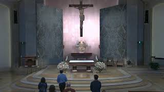 SJN Sunday Mass at 11:30 AM