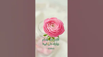 بمناسبه المولد النبوي الشريف دقوا الدفوف المنشد رضوان محمود 