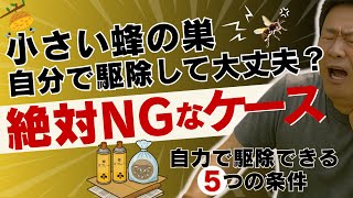 小さな蜂の巣、自分で駆除しても大丈夫？｜蜂の巣を見つけたらまず見るべき動画