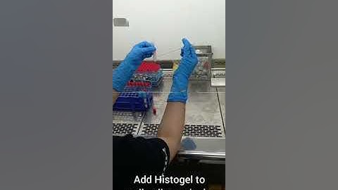Histogel Demonstration
