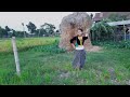 Malai Chaubandi Choli Le Ramri Dekhiyo || Shanti Gurung || Dance Cover || RaiBinda || DedivahYatri🇳🇵 Mp3 Song