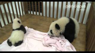 20151128 Broadcast Top Highlights 直播精彩集錦 科小和庆小在一张床上