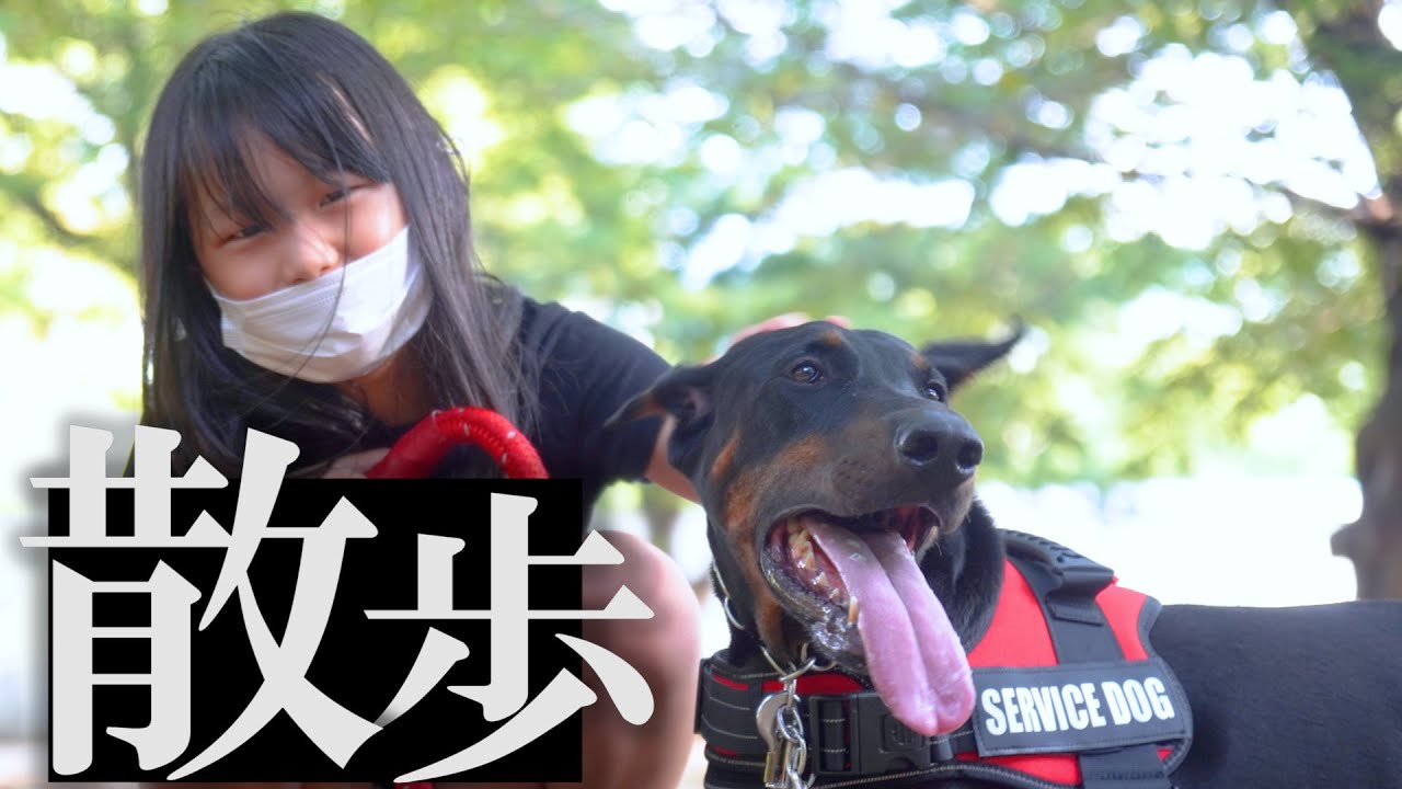 大家族とドーベルマンはこのニオイに耐えられるのか パパの早朝ドッキリが発動 シュールストレミング Youtube