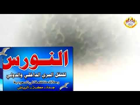 شركه النورس للنقل البري الدولي والداخلي