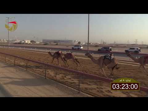 سباق الإيذاع الطي 07 10 2025 ش9 غرام ل سالم مانع الغويص السويدي 6 03