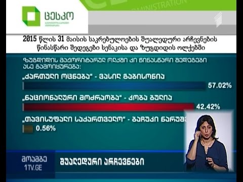 წინასწარი მონაცემებით, სენაკისა და ზუგდიდის შუალედური არჩევნები „ოცნების“ კანდიდატებმა მოიგეს