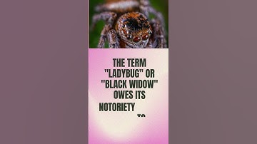 Amazing facts ( What is the symbol of the spider?) #shortsvideo #shorts