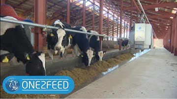 Automatic feeding ONE2FEED - Fütterungsroboter