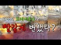 [NOW] 로마의 트레비분수가  빨갛게 변했다?