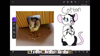 If my pet mice had voices @sliceofcatcake8853