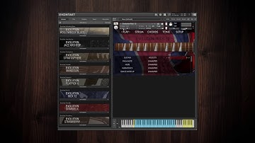 Evolution Guitar Engine - Snapshot Presets