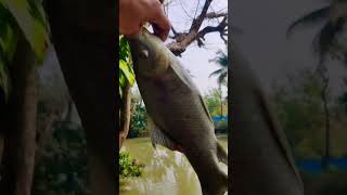 Fishing Time😊😊 #youtubeshorts #fypviralシ #viralshort