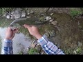 muy buena pesca de lobinas en un pequeno charco