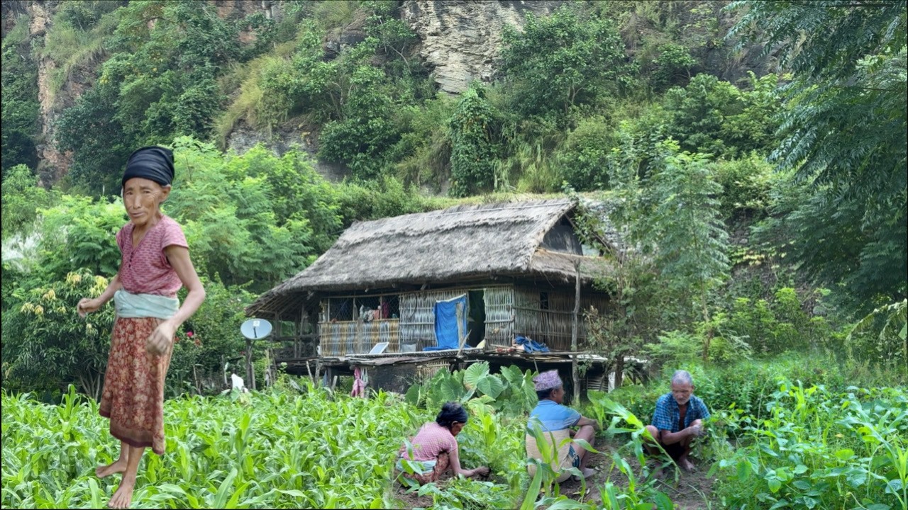 Beautiful Nepali Mountain VIllage Life of Nepal | Most Peaceful & Relaxing Village Life |BijayaLimbu