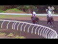 View race 2 video for 2024-04-12