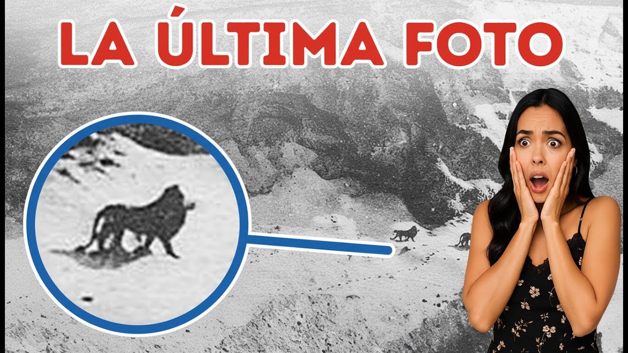 Descubre El Misterio Del Rey Perdido De África | 10 Animales Extintos COMPLETO