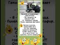 #шуточное #юмор #мем #смех #смешновидео #прикол