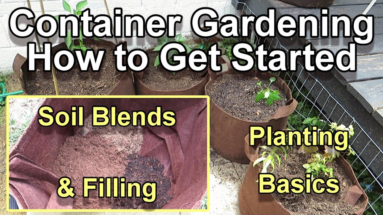 A Complete Guide to Filling, Placing, and Planting a Container Garden ...
