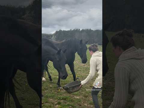 Zazima Darja Mare Fy Foryou Viral Funny Fypシ Fun Fypage Fyy Funnyvideo Fypシ Viral