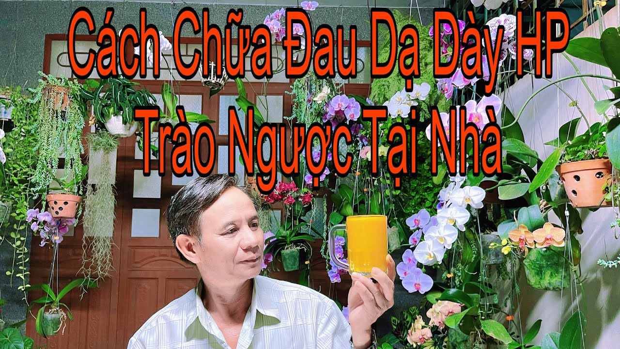 Bài Thuốc Gia Truyền Chữa Viêm Loét Dạ Dày Trào Ngược Dạ Dày Thực Quản Và Diệt Khuẩn HP 